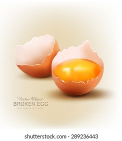 vector object - a broken egg with the yolk.