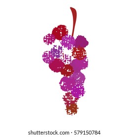 a vector object; bunches of grapes hand drawn in grungy style; design elements for any wine event background