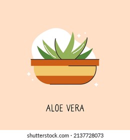 Vector object of flat color indoor plant. A flower in a container.