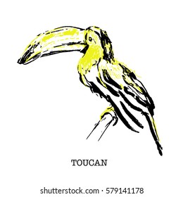 a vector object; a hand-drawn illustration of a toucan, a hand-made ink sketch of a bird; isolated on white background