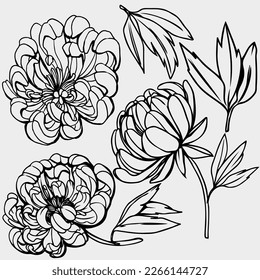 Vector objects, hand drawn flowers, flowers for patterns