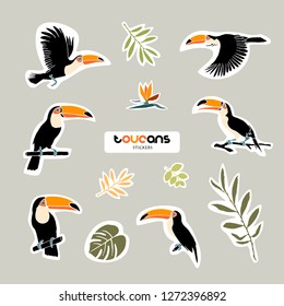 Vector objects. Toucans and leaves set. Stickers design. Summer colors.