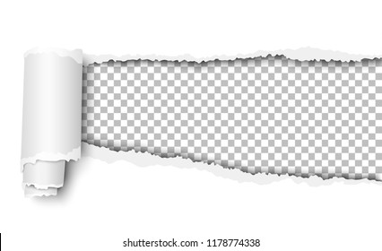 Vector oblong torn hole in white sheet of paper with paper curl. Transparent resulting background. Template design.