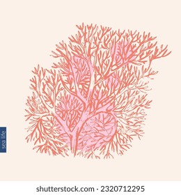 Vector ocean nature background with red corals branch. Wild life ocean design, summer beach vacation, organic beauty product design.