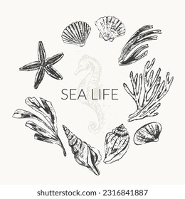 Vector ocean nature background. with sketches of seashells, seaweed, corals, seahorse, starfish. Wild life ocean round frame, organic beauty product design.