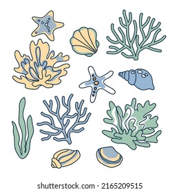 vector ocean seashells decorative molluslk sea vacation seaweeds star set collection vintage aquatic element