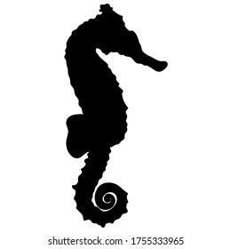 Vector oceanic animal silhouette isolated. Sea horse. Design for print, invitation, card, banner