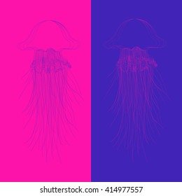 Vector  oceanic jellyfish
