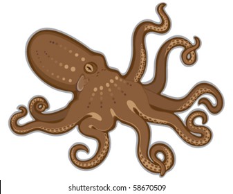 Vector Octopus swimming with an isolated white background. Created in browns and beige color with a brown and gray outline.