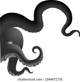 Vector octopus tentacle in black and white color isolated on white background