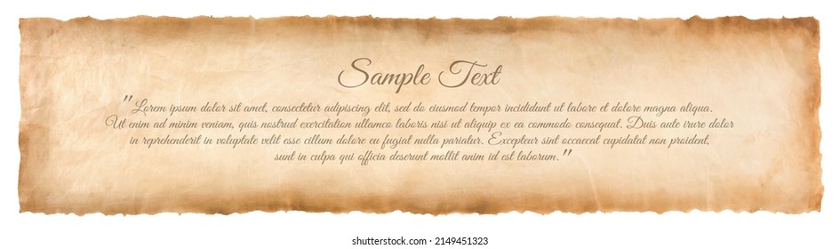 Vector old parchment paper sheet vintage aged or texture isolated on white background.