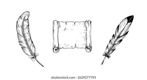Vector old scroll paper with bird feather pens. Hand painted linear parchment illustration. Graphic monochrome sketch isolated on background. For designers, prints, logo, icon, menu, postcards