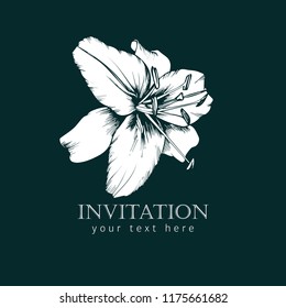 Vector old stile illustration of lily. Template of invitation.