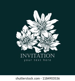 Vector old stile illustration of ranunculus helenae. Template of invitation.