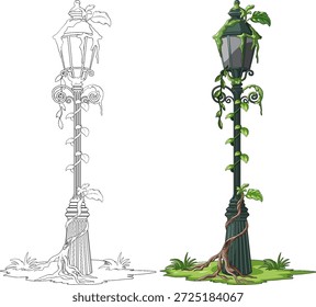 Vector of an old street lamp with green vines, includes both colored and outline versions.