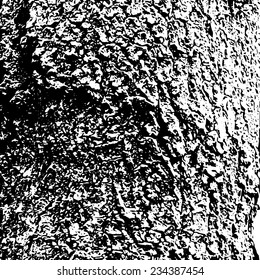 Vector old tree black & white bark texture. 