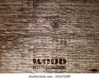 Vector Old Wood Realistic Texture, Dark Wooden Background for Your Design