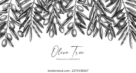 Diseño del borde de la rama de olivo vectorial en un estilo grabado. Diablos, hojas y frutos dibujados a mano. Fondo de planta agrícola. Ingredientes de aceite de oliva pancarta de envasado o de impresión
