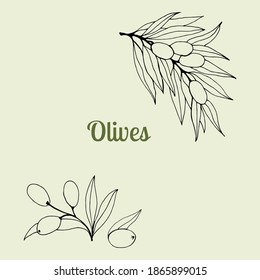 Vector olive branch hand drawn sketch. Set of olive branch illustrations. Design elements for poster, label, emblem, sign, banner. Vector illustration.