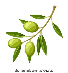 Vector olive branch isolated on a white background.