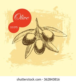 vector olive hand drawn sketch of fresh olive branch, mediterranean cuisine