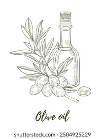 Vector olive oil bottle with olives and olive branch line art illustration, graphic line art. Elegant line botanical illustration. Great for any designs, textile, art, walls, package