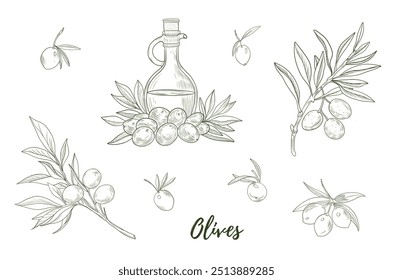 Botella de aceite de oliva de Vector con aceitunas e ilustración de arte de línea de rama de oliva, ilustración de línea gráfica. Ideal para cualquier diseño, textil, arte, paredes, paquete