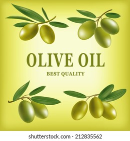 Vector olive oil. Decorative olive branch. For label, pack.