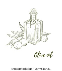 Vector olive oil and olives branch line art illustration, graphic line art. Elegant line botanical illustration. Great for any designs, textile, art, walls, package