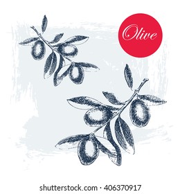 vector olive sketch drawing. hand drawn olive silhouette