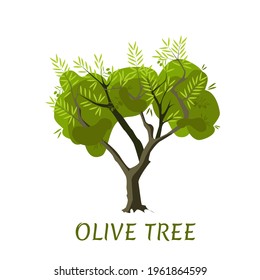Vector olive tree with leaves and olives, isolated on a white background. Plant life