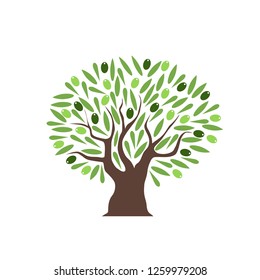 
Vector olive tree with olives on white background

