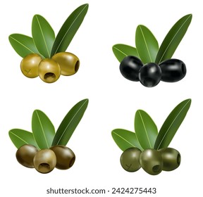 Vector Olives Branch with Leaves. Green and black olives set. Realistic vector illustration. Isolated on White Background. 