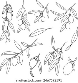 Vector Olives Clipart set, hand drawn liner sketch Oliva branch, Olives leaves illustration, Greenery DIY, Wedding Invites, Logo Design, card making