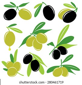 Vector olives. Collection of black and green olives with leaves, vector illustration