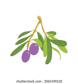 vector olives in a flat and cartoon style on a white background, culinary illustration of olives vegetables in a green twig