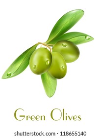 Aceitunas vectoriales aisladas en un fondo blanco
