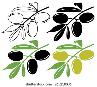 Vector olives. Three black and green olives on a branch, vector illustration in color and line art