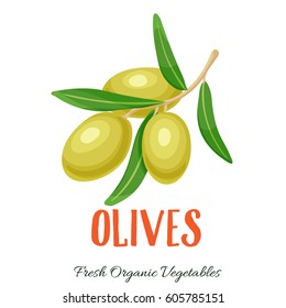 Vector Olives Vegetable Illustration Farm Market Stock Vector (Royalty