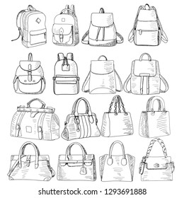 vector, on white background, backpack, bag fashionable women sketch, set