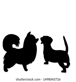 vector, on a white background, black silhouette of a small dog standing