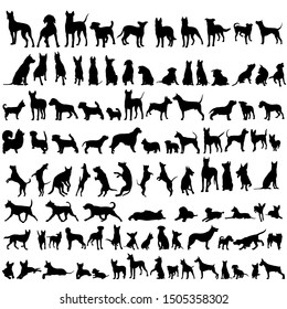 24,089 Dog Silhouette Sitting Images, Stock Photos & Vectors 