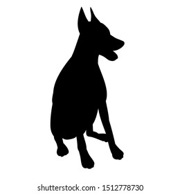 vector, on a white background, black silhouette of a dog sitting