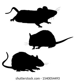 vector, on a white background, black silhouette of a rat, mouse, set
