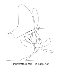 vector, on a white background, continuous line drawing of a butterfly with a flower