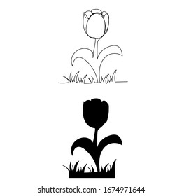 vector, on a white background, a continuous line drawing of a flower growing