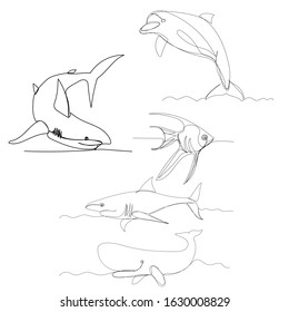 vector, on a white background, drawing in one continuous line, sea fish