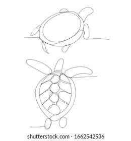 vector, on a white background, drawing of one continuous line of a turtle