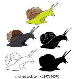 vector, on white background garden snail, set
