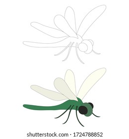 vector, on a white background, green dragonfly, insect, outline